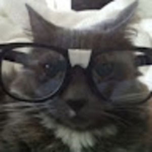 Meet your Posher, Anehita